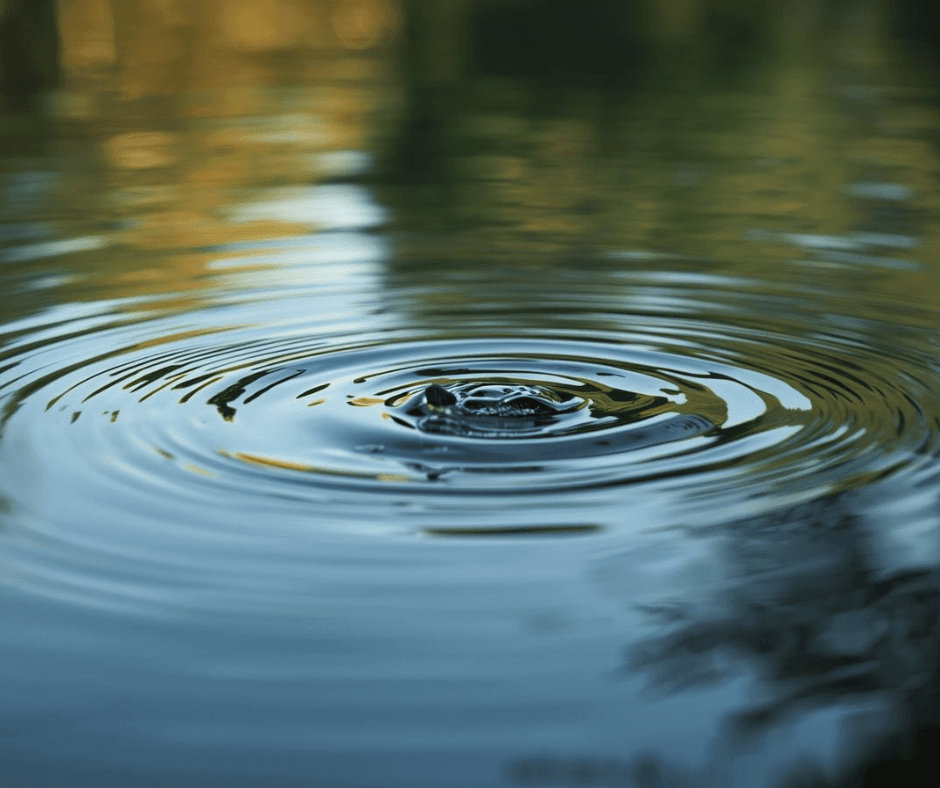 Projekt bez nazwy - 2025-11-26T100605.100