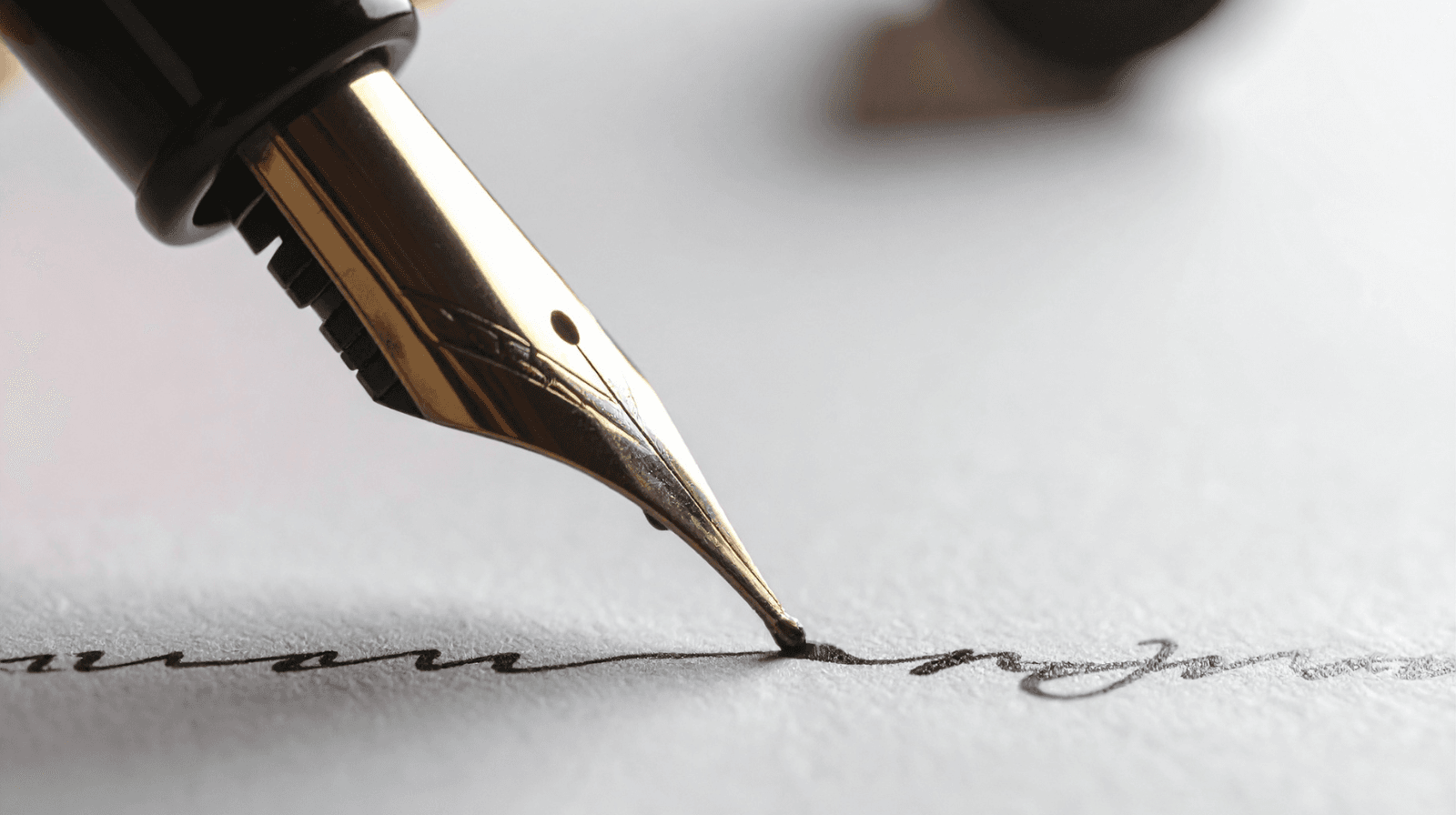 Projekt bez nazwy - 2025-11-30T150226.666