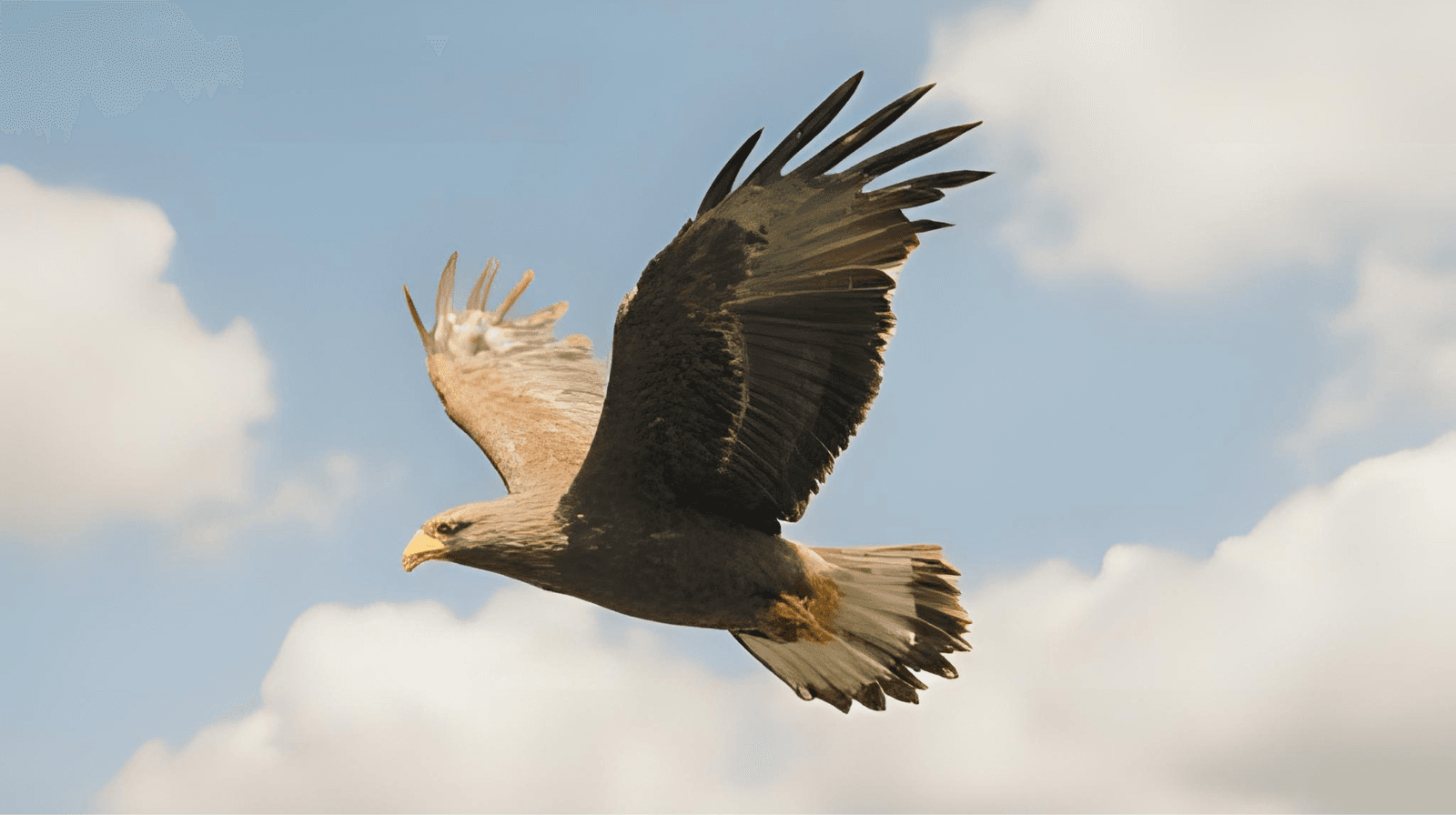 Techniki uwalniania emocji