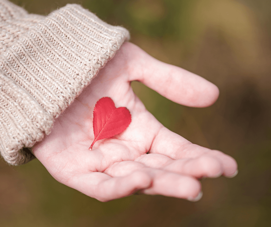 Projekt bez nazwy - 2025-12-25T201312.580