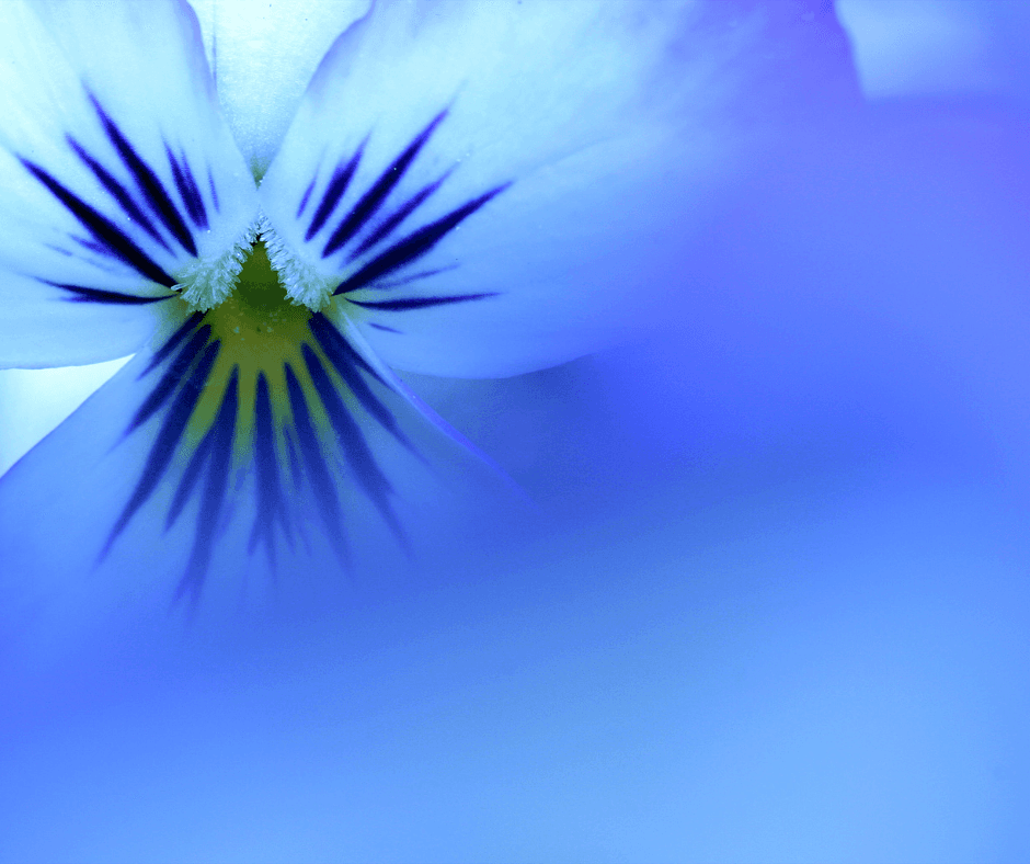 Projekt bez nazwy - 2025-12-25T203023.196