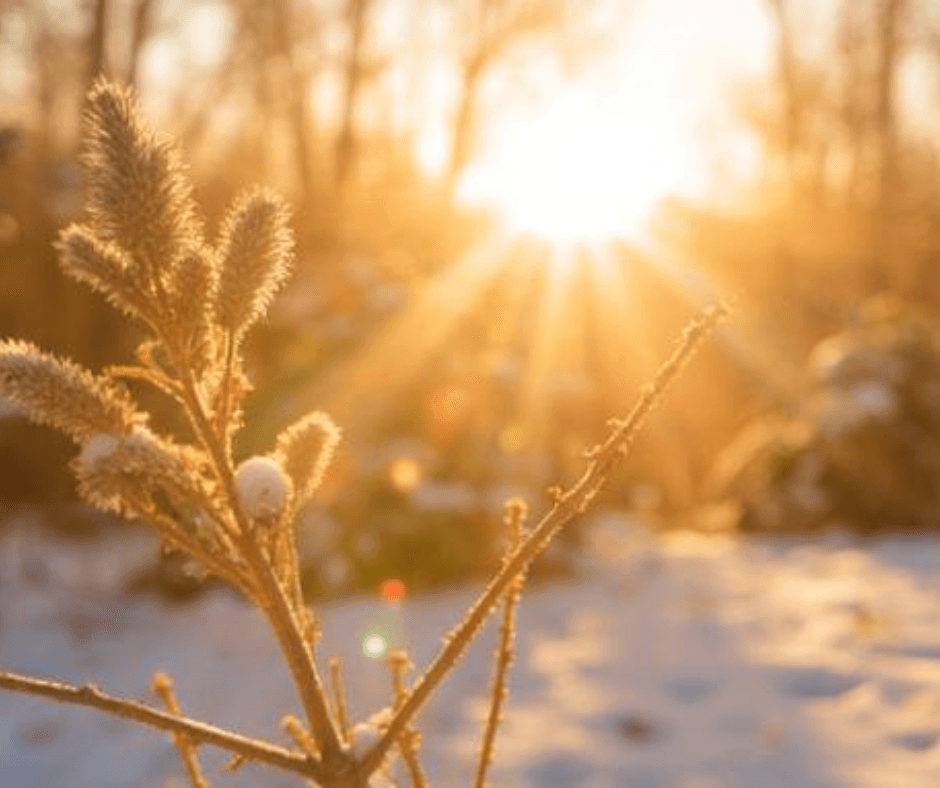 Bez nazwy (Post na Facebooka)