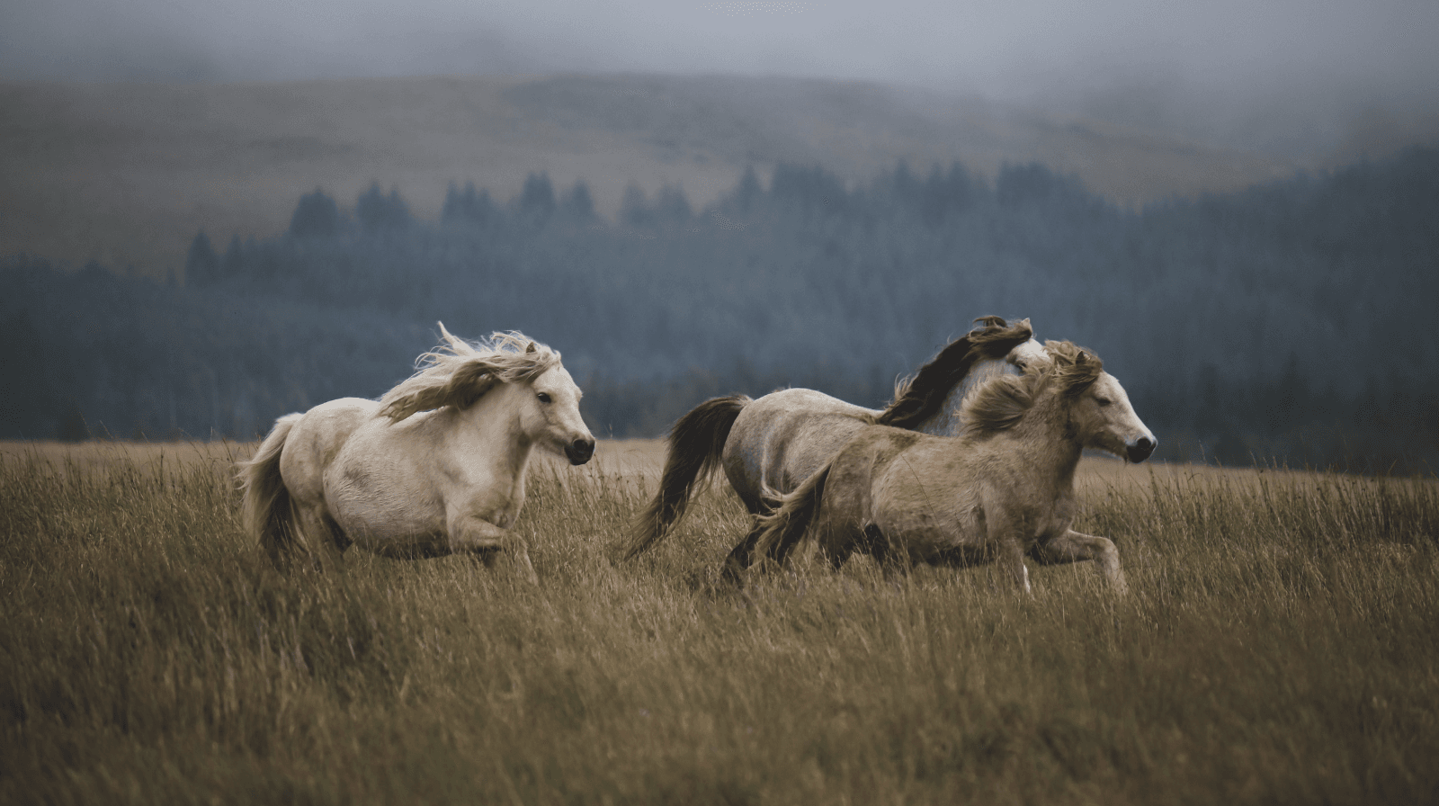 Projekt bez nazwy - 2026-01-04T102141.582