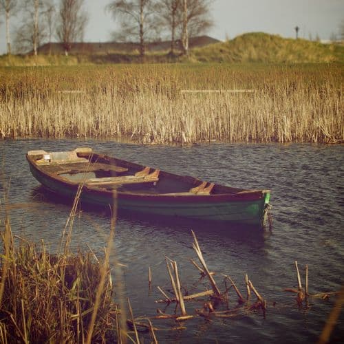 Bez nazwy (Logo) (9)