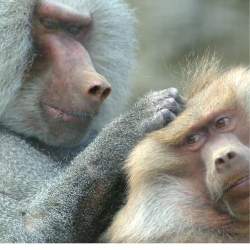 Bez nazwy (Logo) (21)