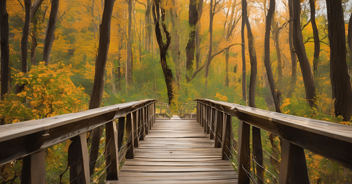 ie (Reklama na Facebooka) (47)