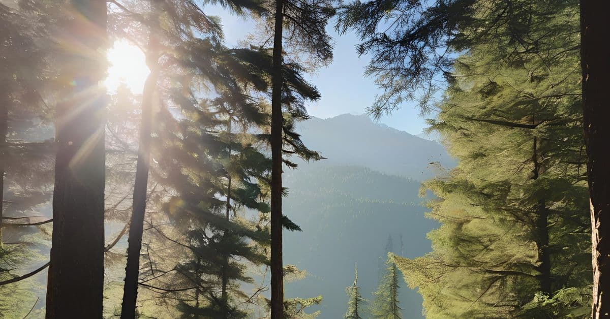 ie (Reklama na Facebooka) (13)