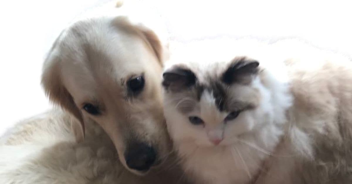 ie (Reklama na Facebooka) (26)