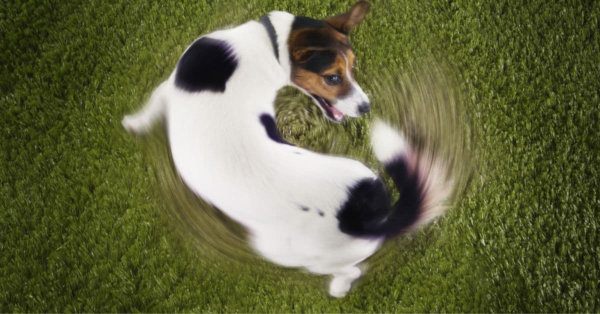 ie (Reklama na Facebooka) (96)