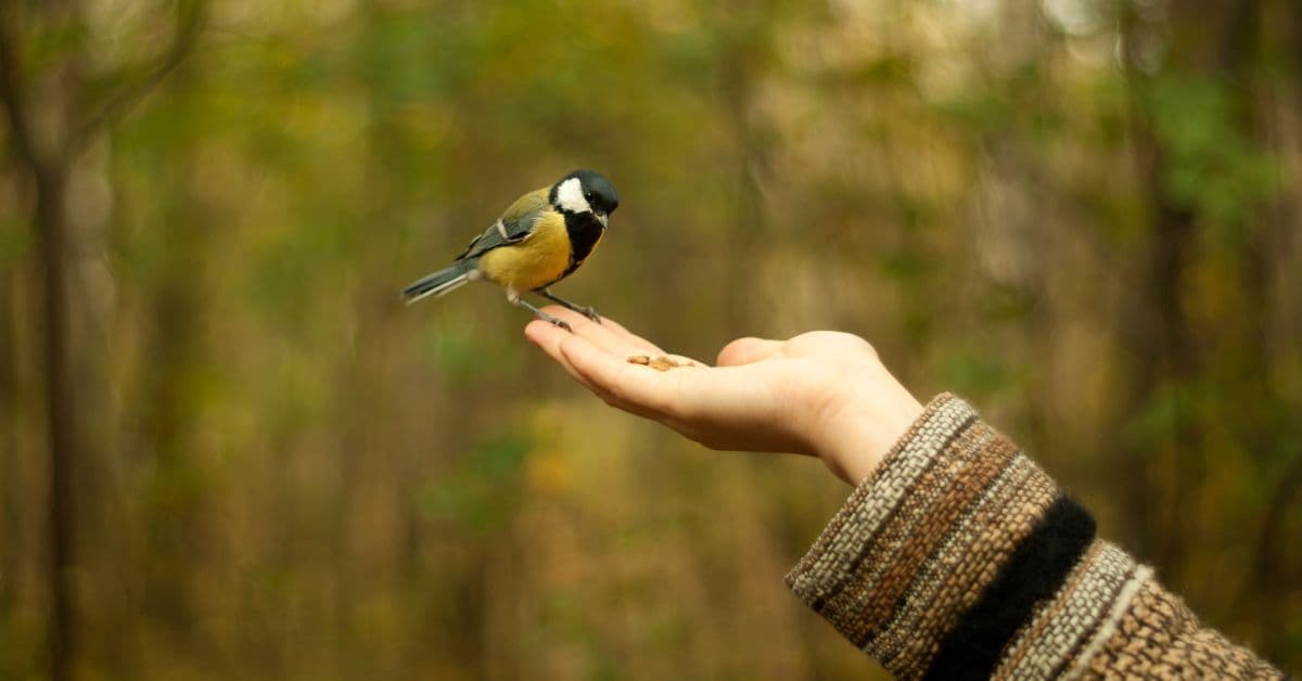 ie (Reklama na Facebooka) - 2025-02-08T205759.869