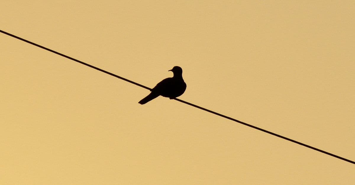 ie (Reklama na Facebooka) - 2025-02-23T182204.226