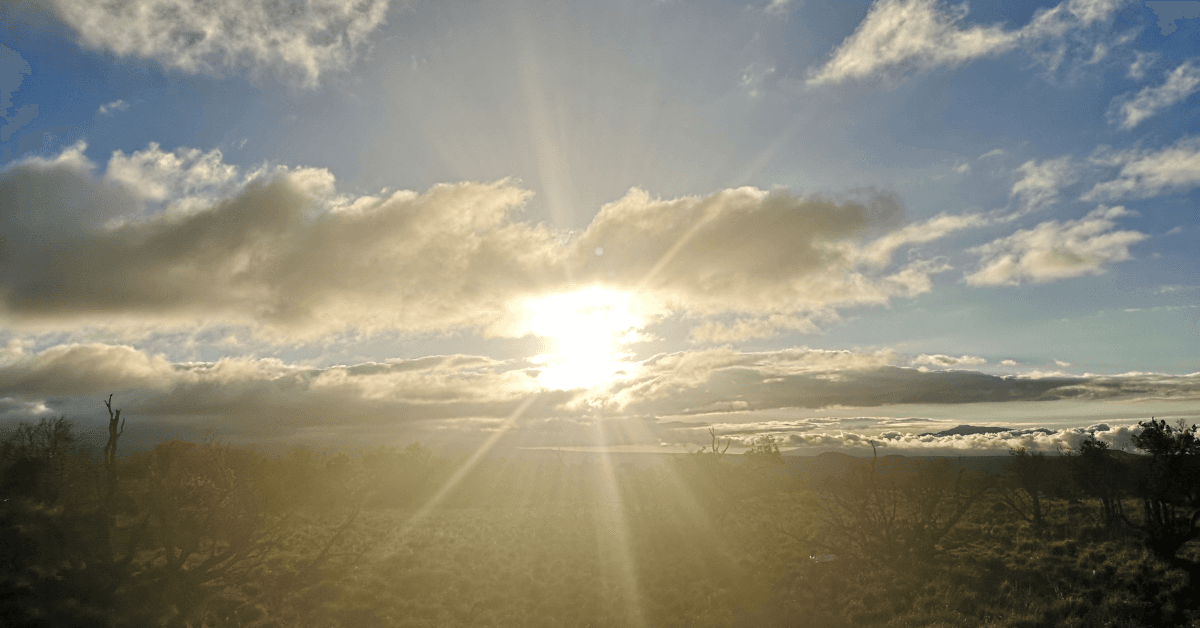 White and Greyscale Photo Wellness Instagram Post (297 x 210 mm) (Reklama na Facebooka) (14)