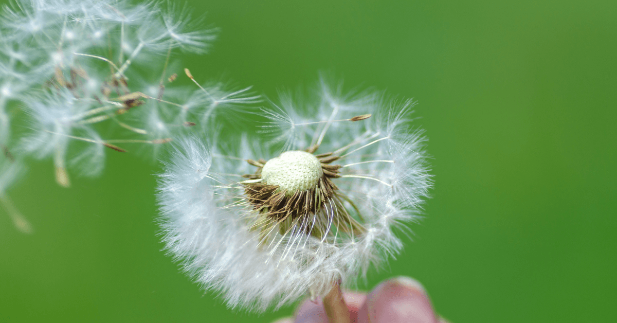 White and Greyscale Photo Wellness Instagram Post (297 x 210 mm) (Reklama na Facebooka) (16)