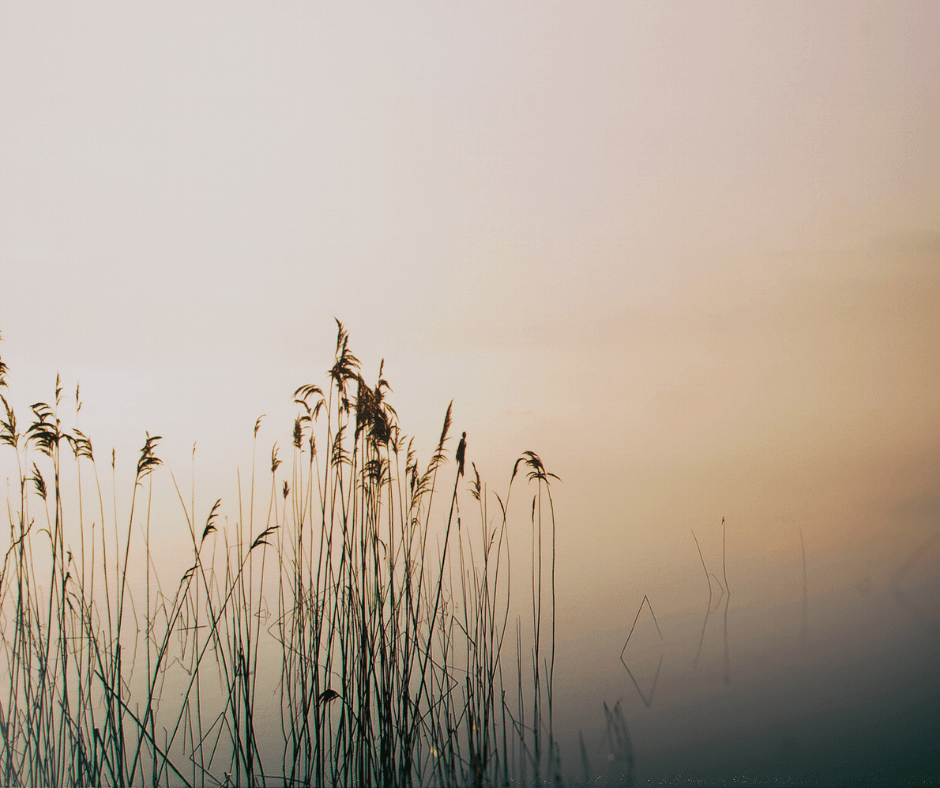 Bez nazwy (Reklama na Facebooka) (11)