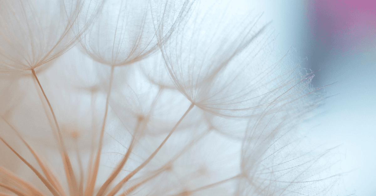 White and Greyscale Photo Wellness Instagram Post (297 x 210 mm) (Reklama na Facebooka) (6)