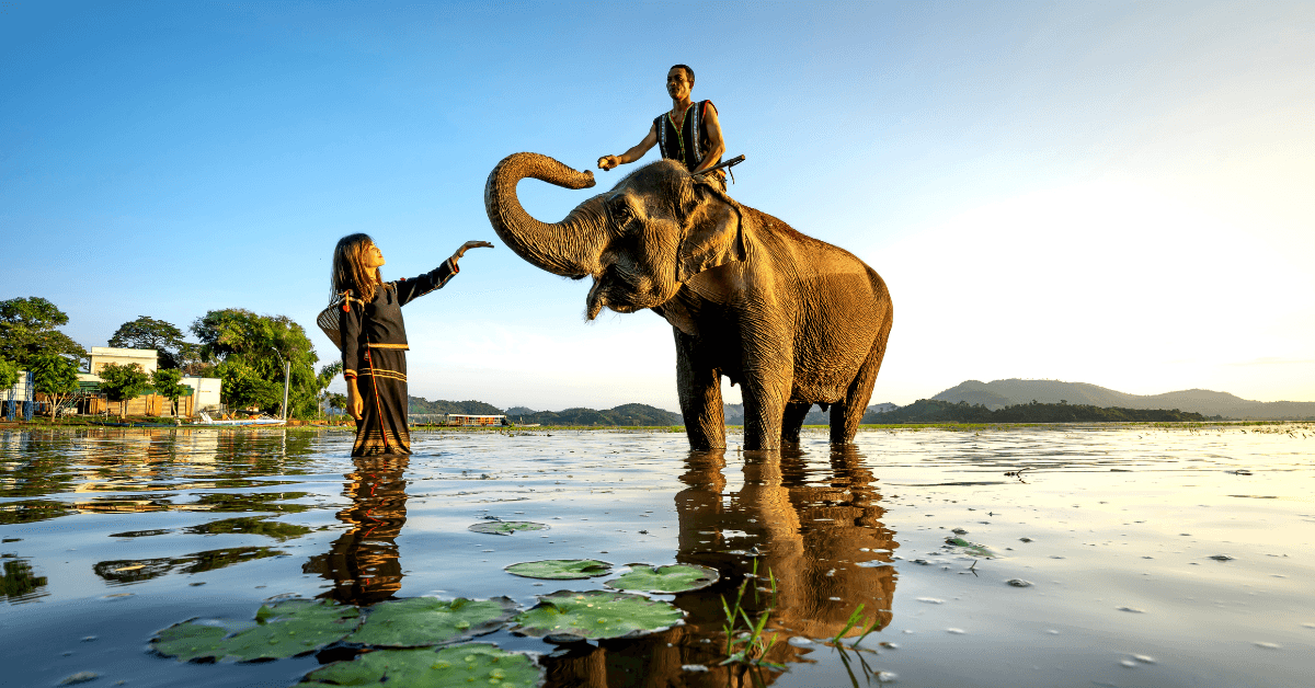 White and Greyscale Photo Wellness Instagram Post (297 x 210 mm) (Reklama na Facebooka) (1)