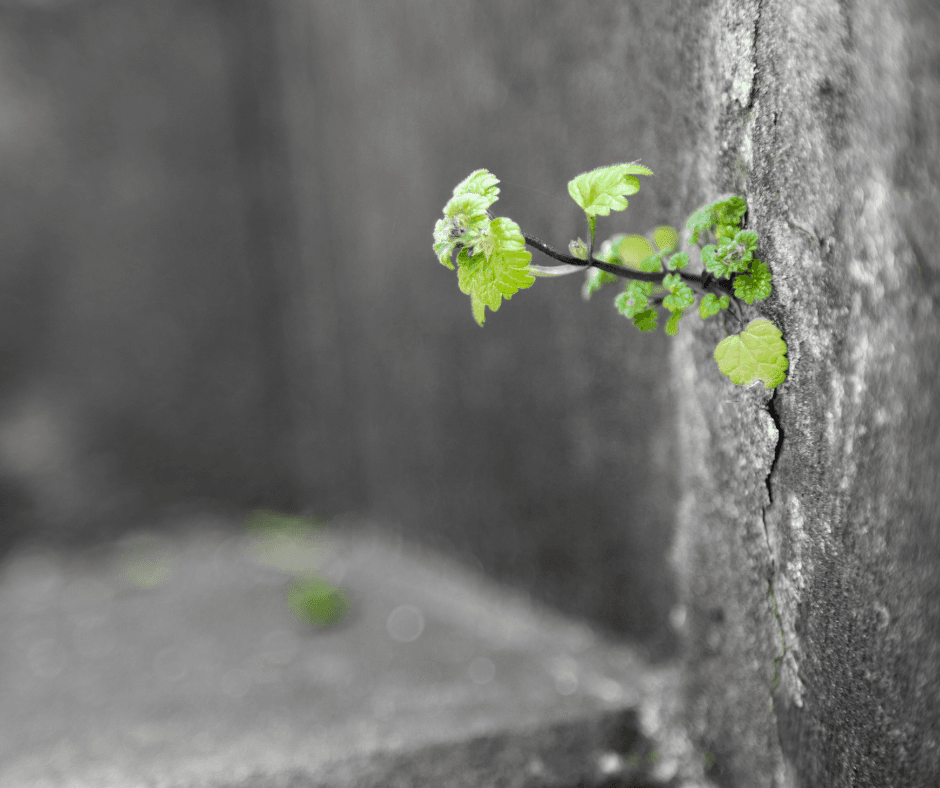 Projekt bez nazwy (27)