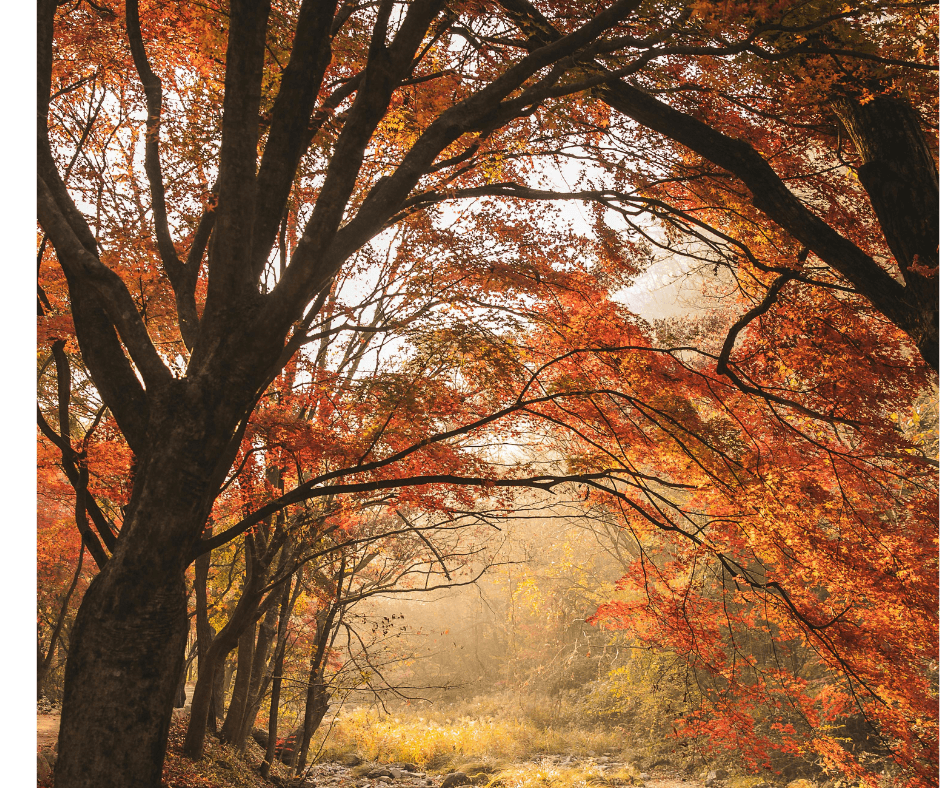Ignorancja w obliczu współczesnych wyzwań (7)