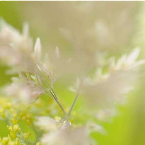 Bez nazwy (Logo) (20)