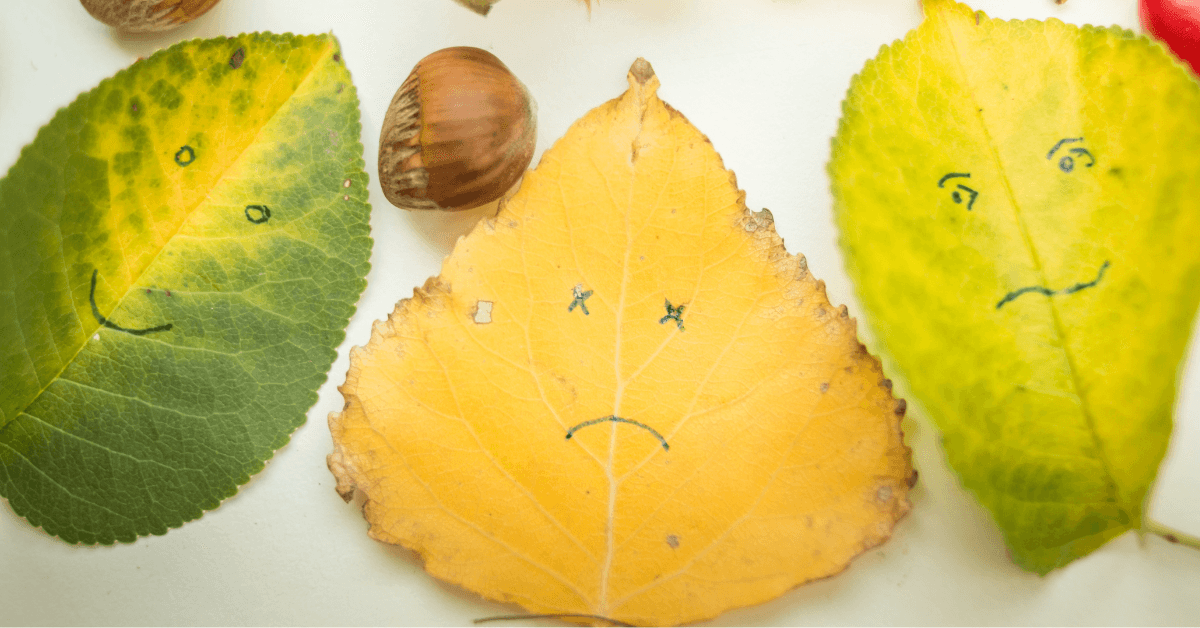 ie (Reklama na Facebooka) (33)