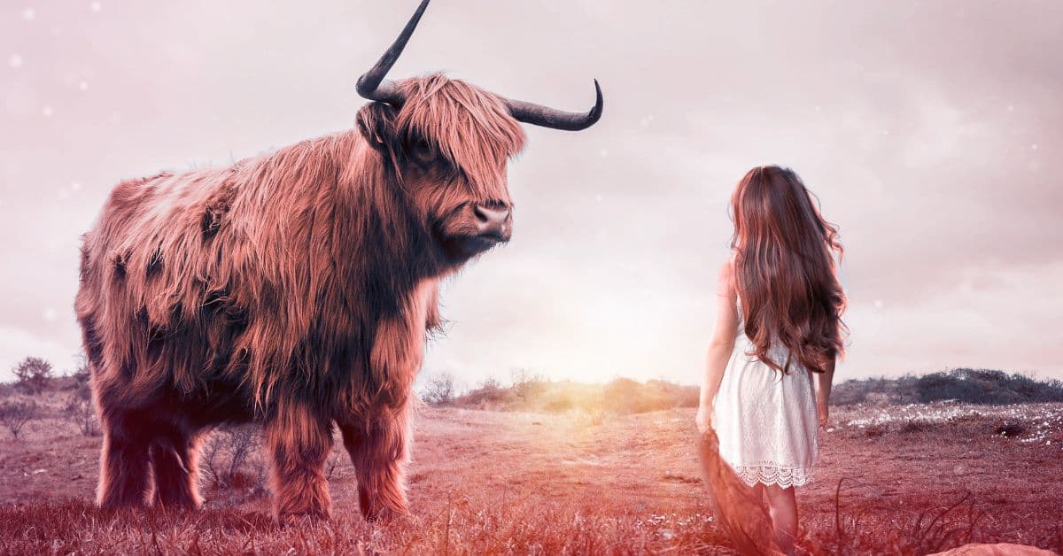 ie (Reklama na Facebooka) (7)