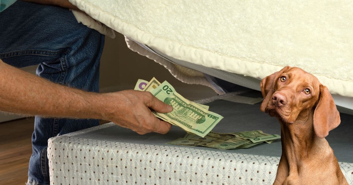 ie (Reklama na Facebooka) (36)