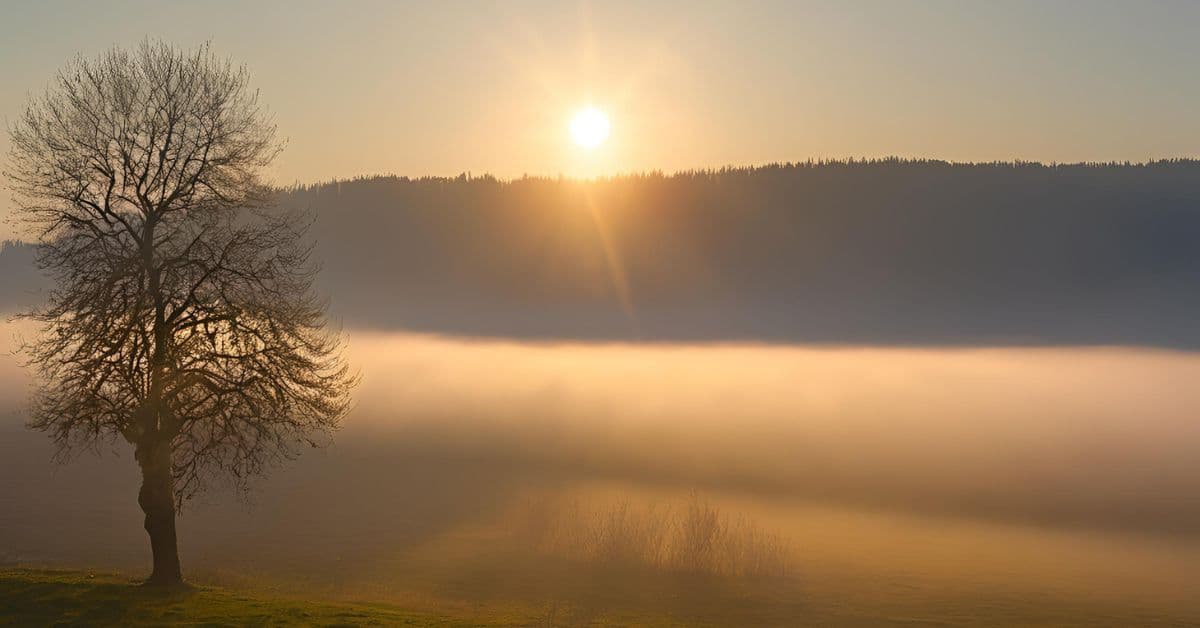 ie (Reklama na Facebooka) (89)