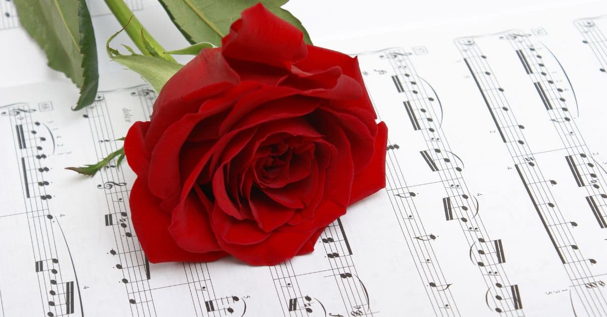 ie (Reklama na Facebooka) - 2024-12-27T090701.589