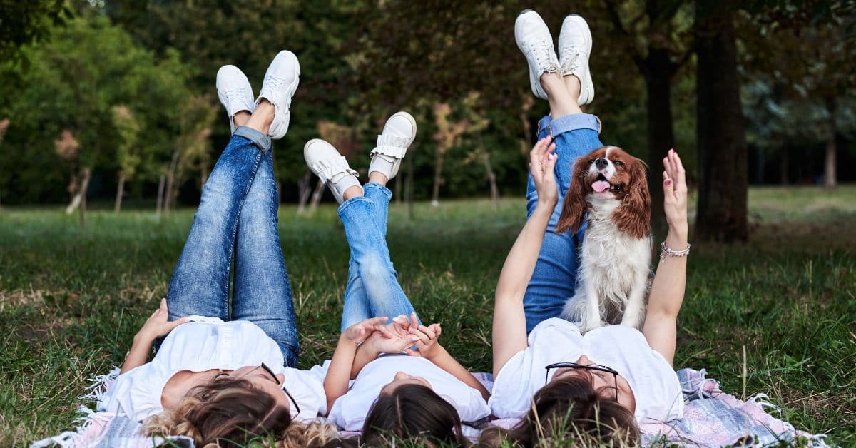 ie (Reklama na Facebooka) - 2025-01-14T143817.781