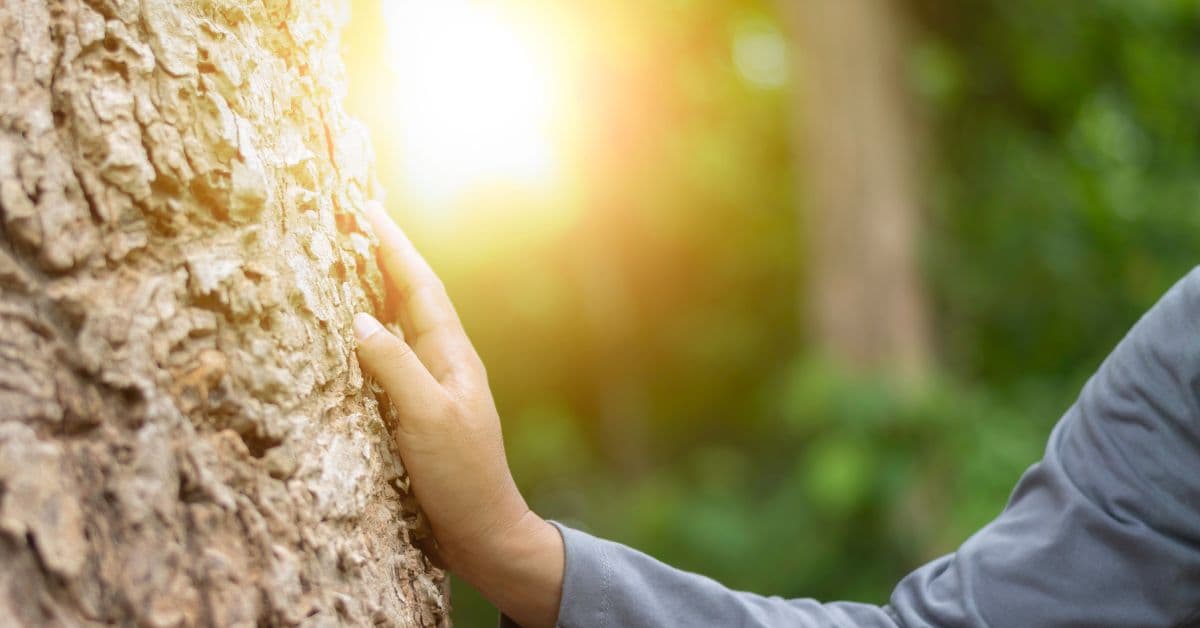 ie (Reklama na Facebooka) - 2025-02-18T074314.559