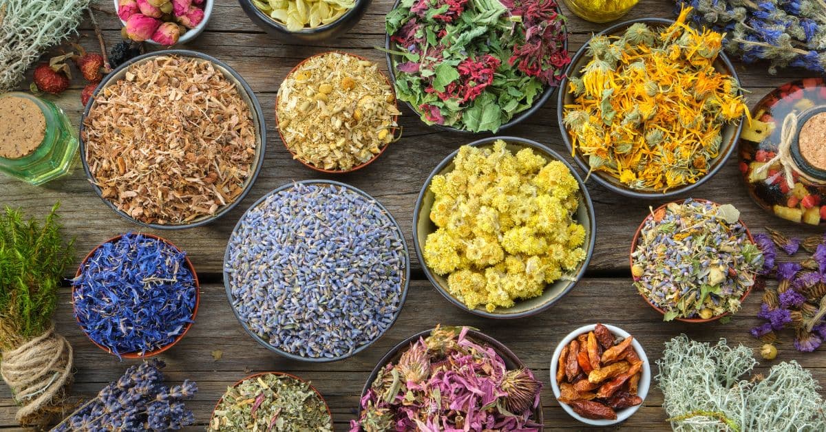 ie (Reklama na Facebooka) - 2025-03-09T185601.852