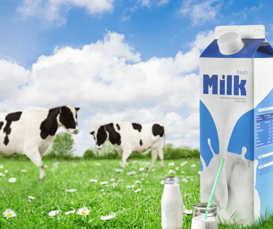 (polski) (polski) (2)