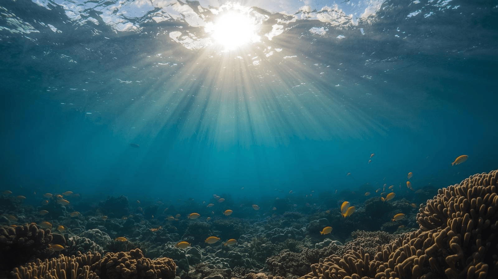 Projekt bez nazwy (79)