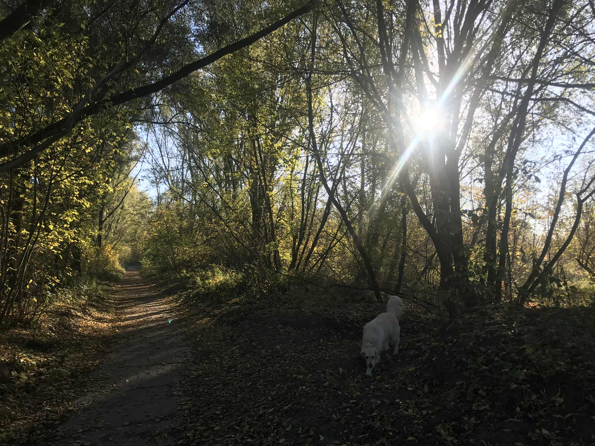 e634121a-15e3-4eb0-806c-fd6842294629