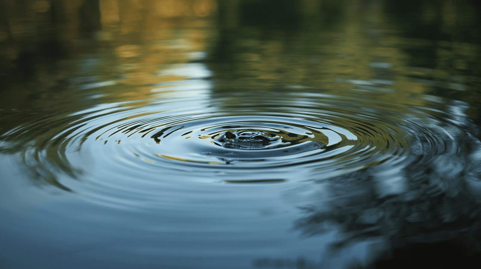 Projekt bez nazwy - 2025-11-08T132806.974